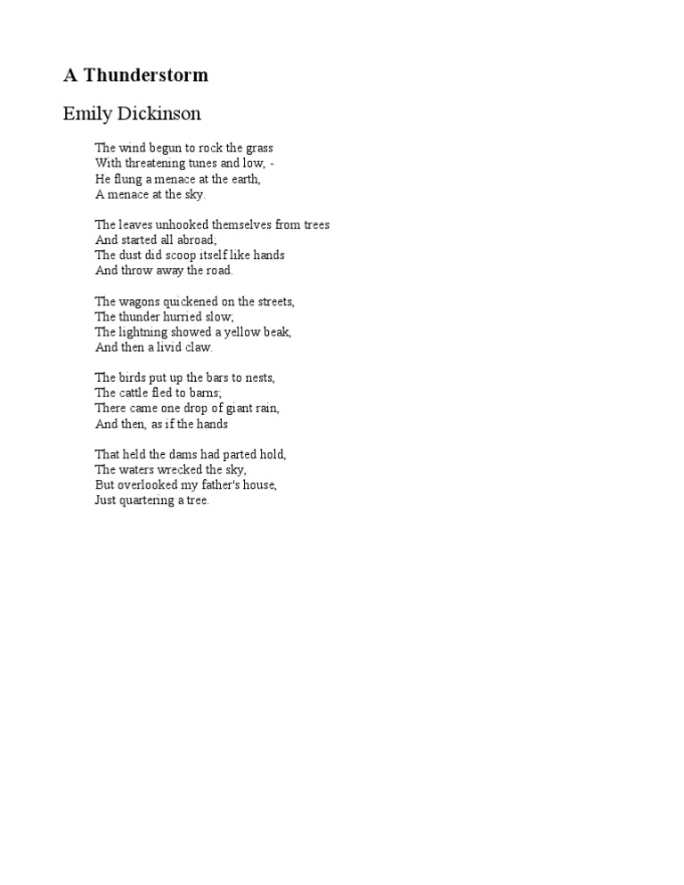 A Thunderstorm Emily Dickinson Pdf Meteorological Phenomena Birds
