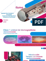 Biomagnetismo Clase Uno Santo Tomás PDF