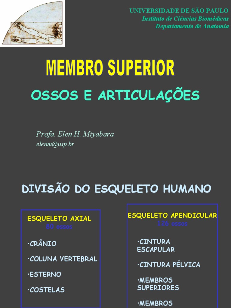 Slides Teorica 9 Ossos E Articulaçoes Dos Membros Superiores Pdf