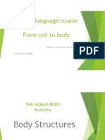The Human Body PDF