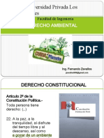 CLASE N 14 Derecho Ambiental.pptx