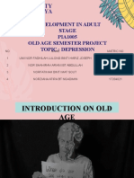 OLD AGE PROJECT - DEPRESSION