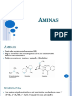 Aminas para Clase I-2017