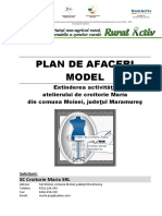 114739159-95040873-2-Plan-de-Afaceri-Croitorie (1).pdf