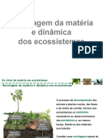 8.2. Reciclagem Da Matéria e Dinâmica Dos Ecossistemas