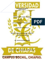 Universidad de Chiapas