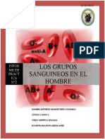 305893755-PRACTICA-N-02-DETERMINACION-DE-GRUPOS-SANGUINEOS.doc