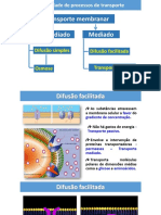 Obtenção de Matéria 2