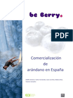 EOI BeBerry 2012 PDF