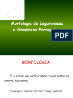 Morfologia de Gramíneas e Leguminosas Forrageiras