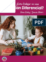 Guía Practica Educación Diferencial