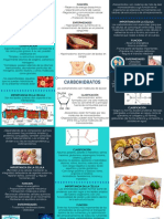 Folleto Biomoleculas