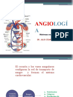 Angiologia Cabeza y Cuello