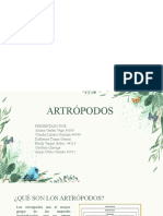 Presentacion Artropodos Ok