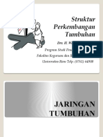 JARINGAN TUMBUHAN