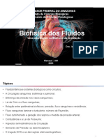 Aula 09 - Biofisica Da Circulaçao - 2020