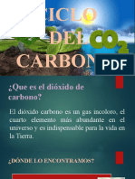 CICLO Carbono