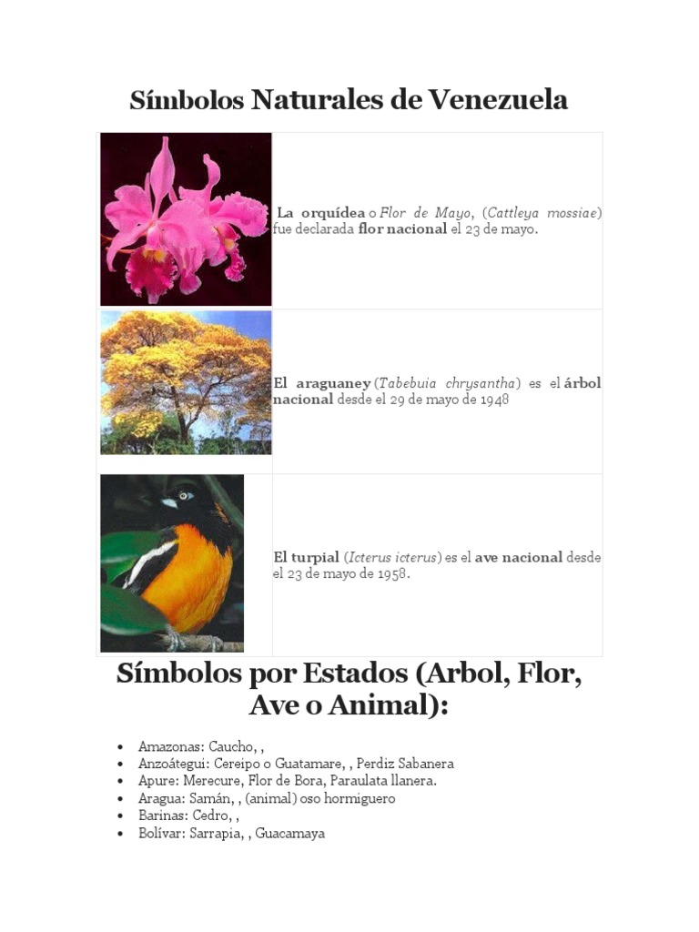 Símbolos Naturales de Venezuela | PDF, image size:768x1024