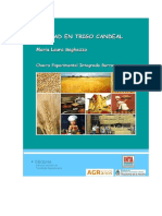 Calidad en Trigo Candeal ML Seghezzo 2014 PDF