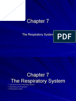 Respiratory System