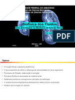 Aula 11_Biofísica da Função Renal.pdf