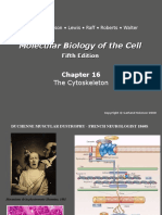 BIO CELL CITOESQUELETO 2015.pdf