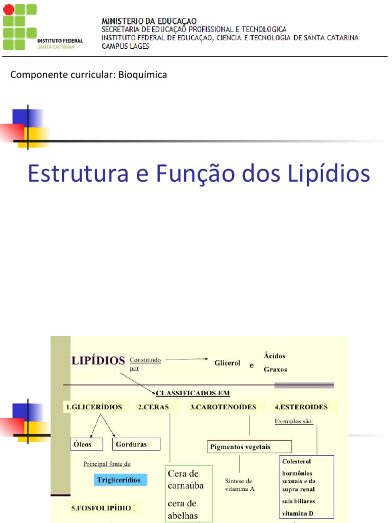 Estrutura e Função dos Lipídios | PDF | Lipídio | Gordura