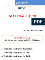 Giai Phau He Co