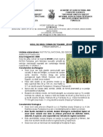 INCDA_Fundulea.pdf