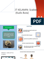 PENYAKIT KELAMIN Upload On Scribd PDF