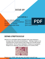 Kelompok Streptococcus sp
