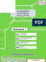 Plasmodium Palcifarum Dan P. Vivax