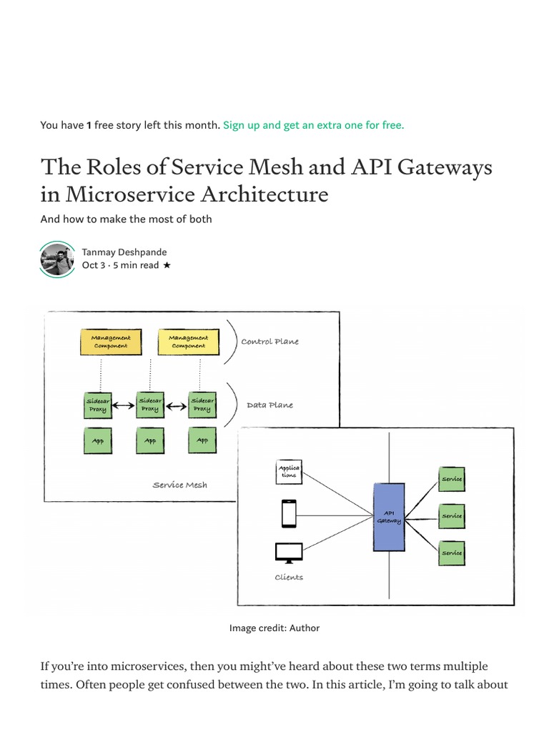 Service Mesh vs API Gateway Explained | PDF | Application Programming ...