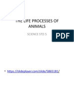 The Life Processes of Animals