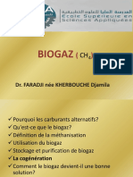 BIOGAZ.pdf
