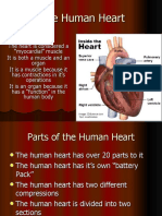 The Human Heart ...