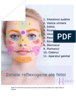 Zonele Reflexogene Ale Fetei PDF