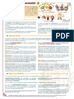 2019.07.09 Idus Martii ES PDF