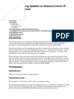 FilteringDistanceVectorIpRoutingProtocols