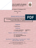 Les Methodes Electrophoretique - Rochdi Mouad - 1293 PDF