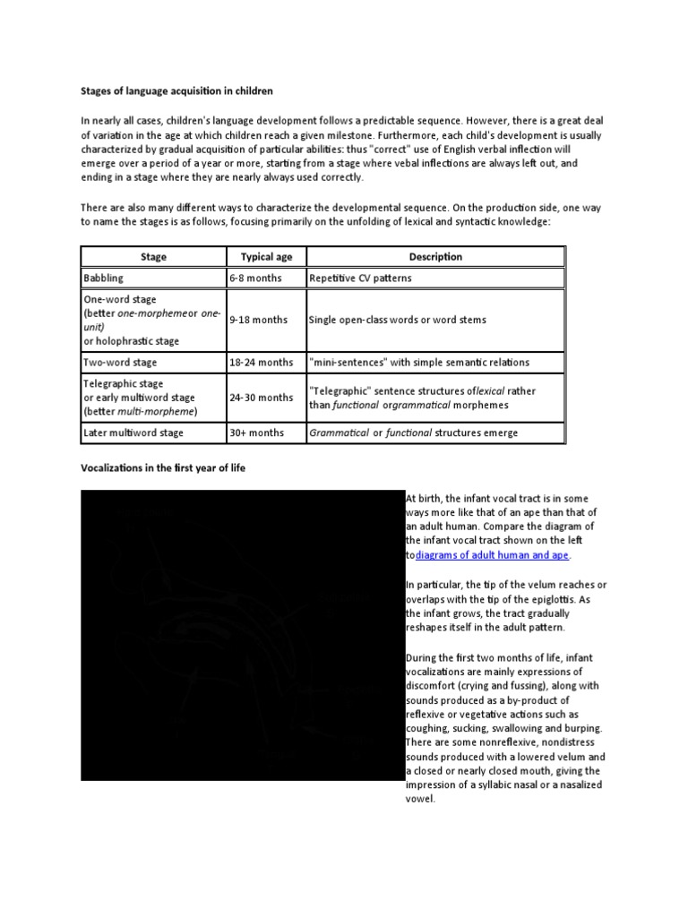 Stages of Language Acquisition in Children PDF Language Acquisition Word