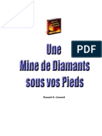 une-mine-de-diamants-sous-vos-pieds.pdf