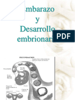 embarazoydesarrollo-150925015551-lva1-app6891