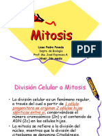 Mitosis 1202151922525720 5