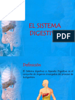 elsistemadigestivo-140718001925-phpapp01