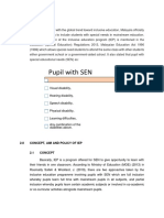 Iep Essay PDF