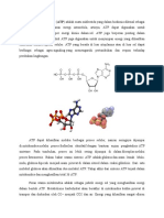 Biokimia Sintesis Atp