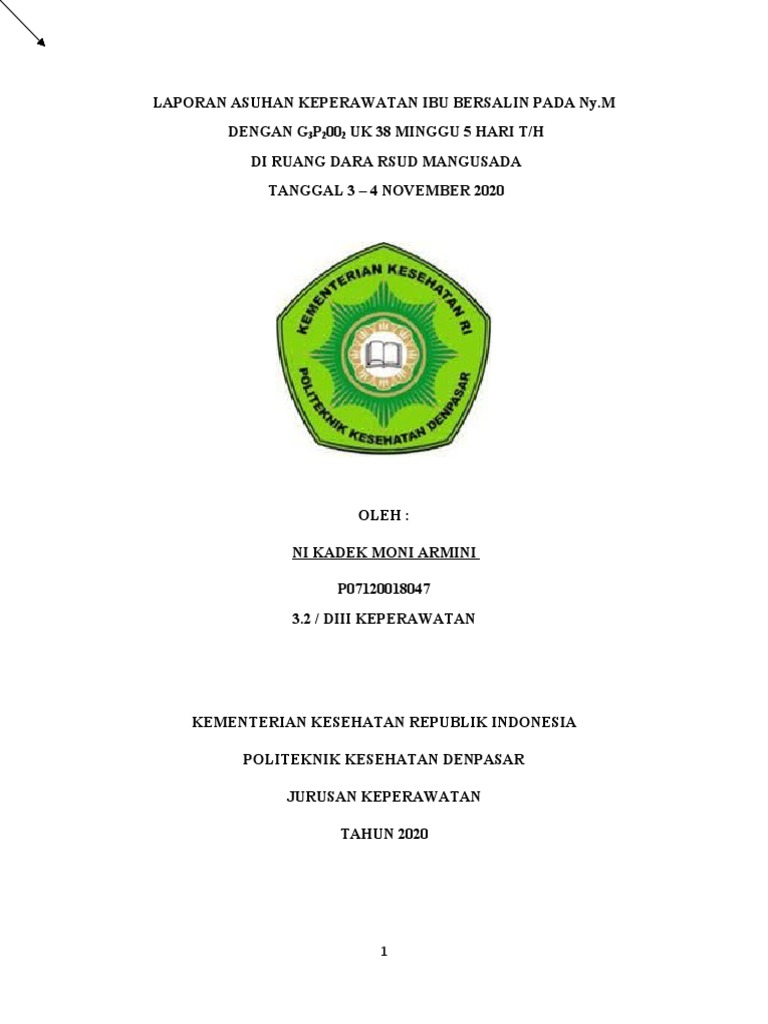 Asuhan Keperawatan Ibu Bersalin G3P2002 | PDF