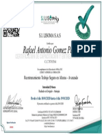 Rafael - Antonio - Gomez - Parra PDF
