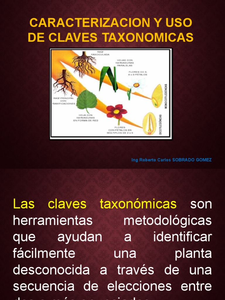 Clase 3 Caracterizacion y Uso de Claves Taxonomicas Sistematica Vegetal
